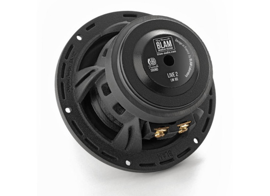 BLAM LM80
