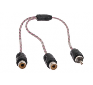 Dynamic State RCC-1M2F