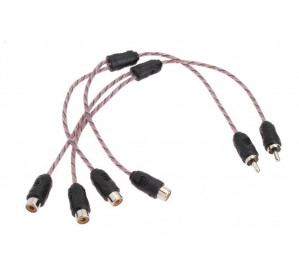 Dynamic State RCC-1M2F