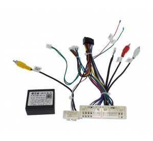 WM Kia, Hyundai 2010+ Can / Cam / 16 pin