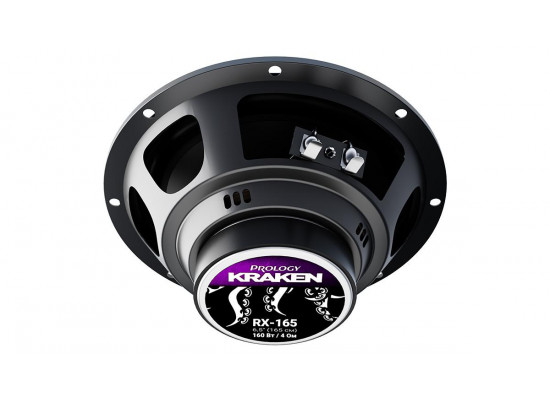 PROLOGY RX-165