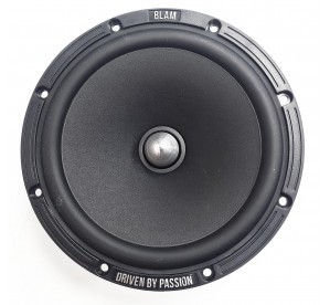 BLAM W165R2 (165RX)
