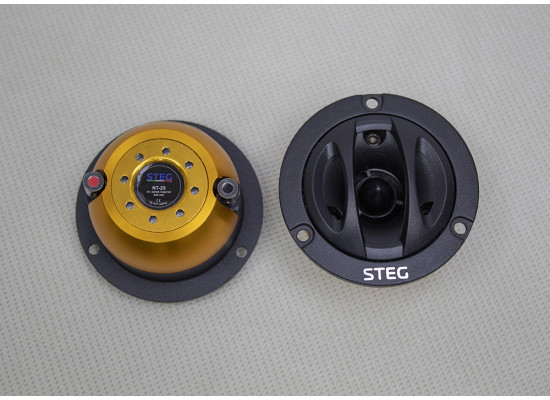 STEG NT 25