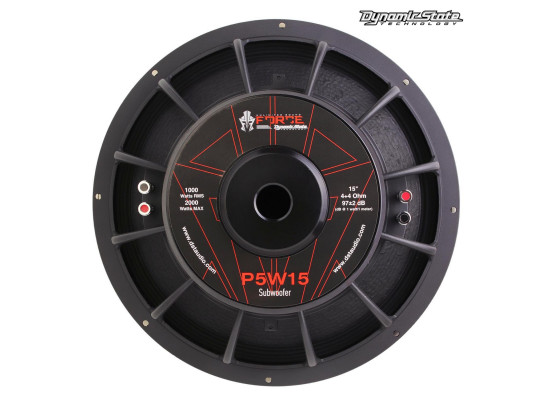 Dynamic State P5W15