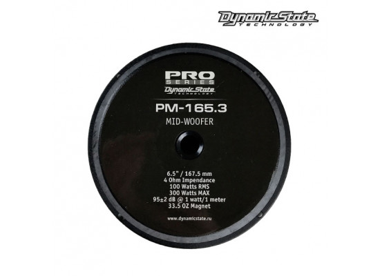 Dynamic State PM-165.3 Dynamic State PM-165.3