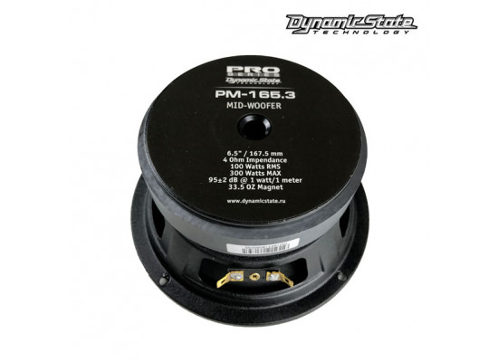 Dynamic State PM-165.3 Dynamic State PM-165.3
