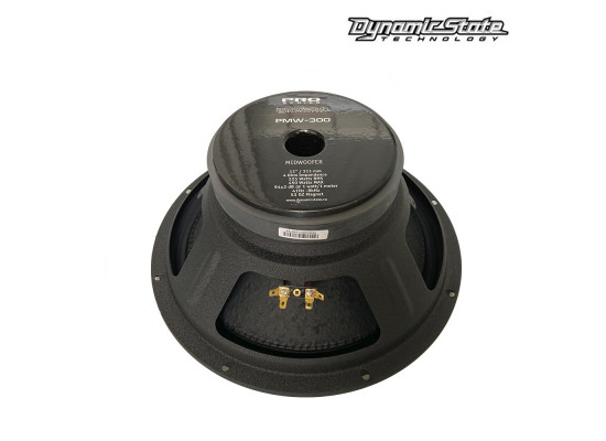 Dynamic State PMW-300 Dynamic State PMW-300