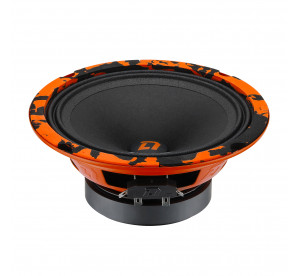 DL Audio Barracuda 165