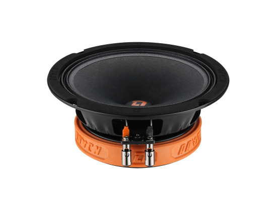 DL Audio Raven 165 DL Audio Raven 165