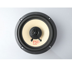 FSD STANDART X6