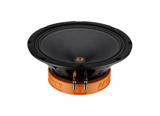 DL Audio Raven 200