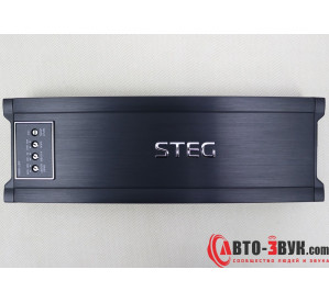 Steg DST 1000DII