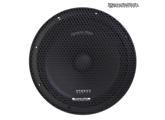 Dynamic State PM-250.1 Dynamic State PM-250.1